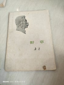 鲁迅：野草