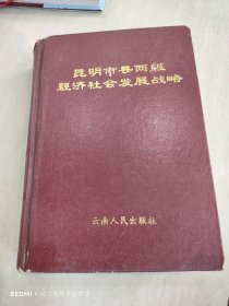 昆明市县两级经济社会发展战略