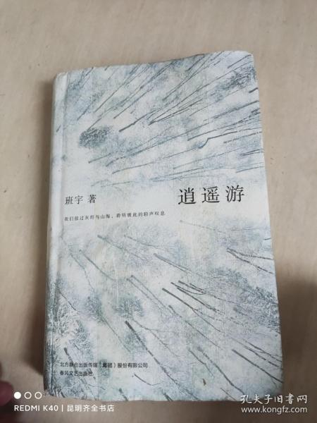 逍遥游（《冬泳》作者班宇最新作品，同名小说列收获文学排行榜短篇榜首）