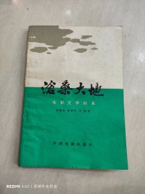 沧桑大地