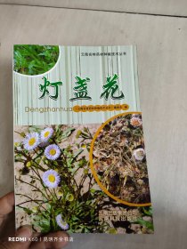 云南名特药材种植技术丛书：灯盏花