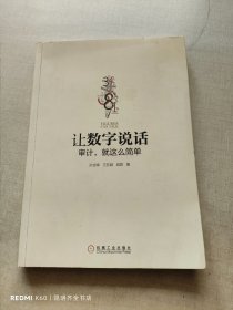 让数字说话：审计，就这么简单