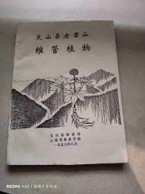 文山县老君山维管植物