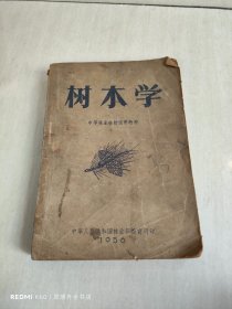 树木学 中等林业学校试用教材