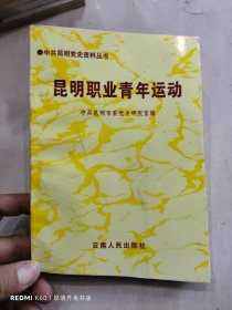 昆明职业青年运动