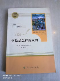 统编语文教材配套阅读 八年级下：钢铁是怎样炼成的/名著阅读课程化丛书