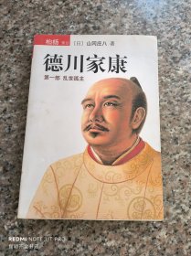 德川家康 第一部 ：乱世孤主