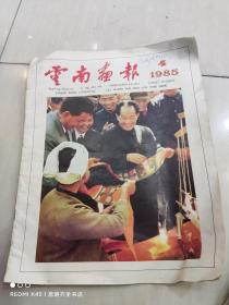 云南画报 1985年第4期
