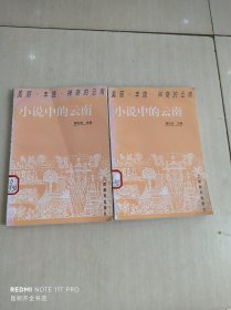 小说中的云南（中下册）