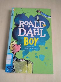 Roald Dahl Boy