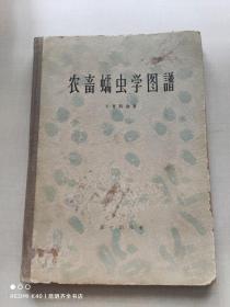 农畜蠕虫学图谱