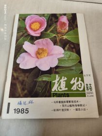 植物杂志 1985年第1期