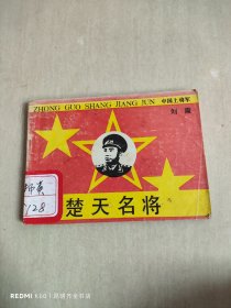 中国上将军,楚天名将（刘震上将 ）