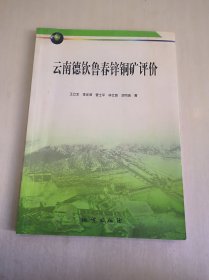 云南德钦鲁春锌铜矿评价