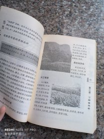 悠悠普洱茶