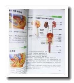 正版彩印铜版纸《图解人体使用手册》全新.无涂画笔记.原价29.8元