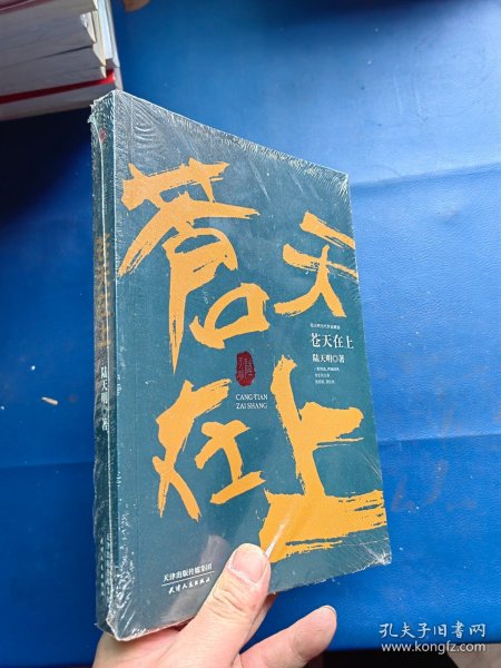 陆天明当代作品精选：苍天在上