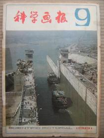 科学画报 1981 9 [活的奇迹-半个脑袋的人 你有创造能力吗 微囊术 世界最大活动水坝 科学惊险游艺 炮兵的烦恼-氢脆 小发明和星期日发明学校 智力游戏与创造力 从不能吃奶的孩子谈起 孩子发育时应注意什么 常用中成药治疗冠心病须知 弥漫性秃发是怎样引起的 甲亢的自我诊断 能抑制病毒的中成药 非洲气候猎奇 人类幻觉的探索 受冤枉的鬣狗 动物的医生 杜甫是怎样死的 弗里曼船长地狱逃生记 魔术与科学