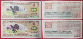 中国社会福利奖券：伍角1993年总第101期（2枚组）
