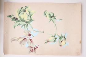 花卉主题的（一组绿色花朵） 桌布/墙纸的 设计原稿