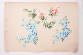 花卉主题的（一组红色与蓝色花朵） 桌布/墙纸的 设计原稿