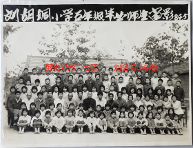 老照片：河南郑州二七区——刘胡垌小学校，1984年五年级毕业师生合影。——注意！此件只支持快递！