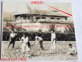 民国老照片：民国抗战时期—福建南平县峡阳镇，1941年10月，位文（赠）萍兄（程钟萍）。有背题。——人物介绍：程钟平（又作程钟萍），古田人。福州私立协和中学毕业。1944年毕业于福建省立农学院（校址先在永安县，抗战胜利后迁到福州市）农业经济学系。后调入上海市农业科学院园艺研究所工作。【福州私立协和中学→福建省立农学院→古田人—程钟平（程钟萍）旧藏系列】