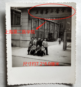老照片：上海第二医学院，美女合影。—校简史：前身是圣约翰大学医学院（1896-1952）、震旦大学医学院（1911-1952）、同德医学院（1918-1952），1952年并组更名为上海第二医学院。1985年更名上海第二医科大学。2005年与上海交通大学合并，更名上海交通大学医学院。