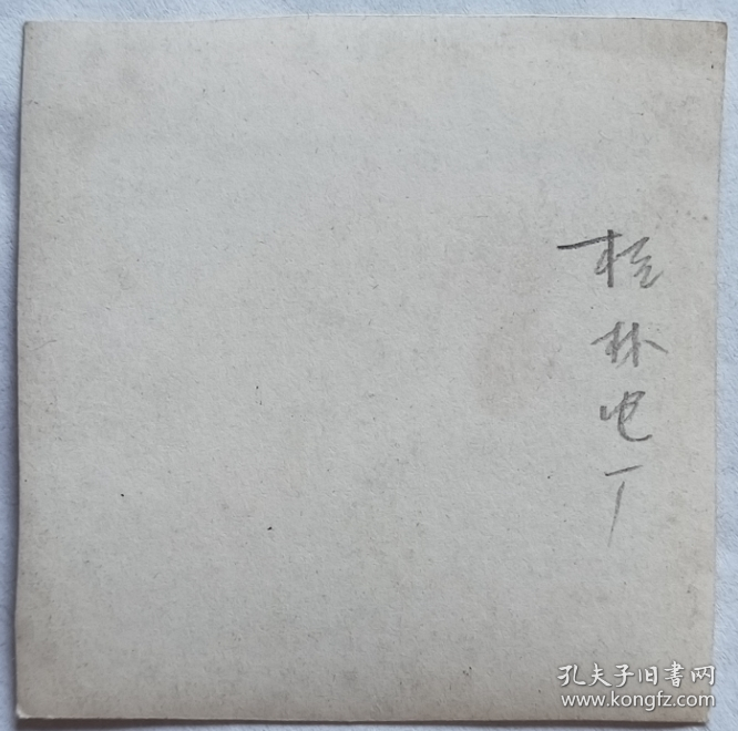 老照片：广西桂林，1954年“劳模大会”，桂林火电厂代表合影，锦旗上有“桂林市人民政府”，依稀可见“桂林市火电厂劳模同志们”、“桂林火电厂外线组”、“一九五四年”等字样，会场外面有“贯彻国家在过渡时期的总路线”标语，有“劳模报道处”指示牌。