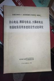 白山电站柳家屯电站大藤峡电站坝基软弱层带渗透稳定性试验研究