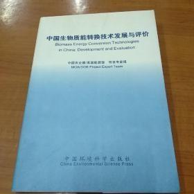 中国生物质能转换技术发展与评价