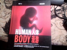 BBC 人体漫游 4DVD