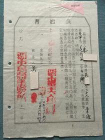 历史资料·保证书（大意：即1951年6月3日西宁市(青海省)人民政府第五区公所出具：具保证人‘李……’今保得‘吴……’，年26岁系青海省西宁市五区26街人，因失业无事，生活困难，情愿到中国畜产公司西宁分公司加工科充当工人……，倘以后发生一切不良行为及有意识的损害人民财产等，保证人愿负赔偿及一切责任)