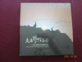 走进野性家园 卜建平高原野生动物摄影作品(没拆封)