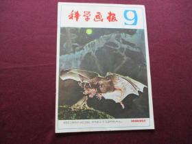 科学画报 1982年第9期