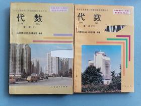 90年代初级中学课本《代数》第一册 上下两本