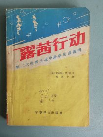 《路茜行动》（安东尼·里德）