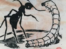 木刻版画 黄永玉 插图《蚕和蚂蚁》（10cm*13cm）