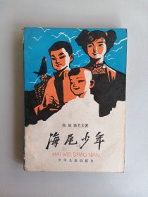 《海尾少年》（段斌，林墉插图本 ）
