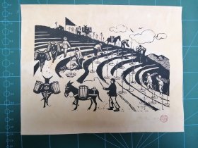 木刻版画 古元 《绿化荒山》（手工拓制，尺寸30*23cm）