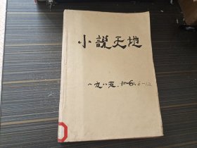 小说天地1985年6-12期（合订本  馆藏 内页完整自然旧）