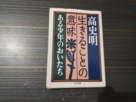 日文原版书 生きることの意味―ある少年のおいたち 高史明（后几页沾了点渍 内页完整无写画）