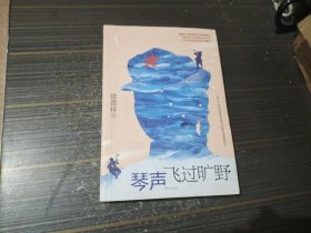 琴声飞过旷野