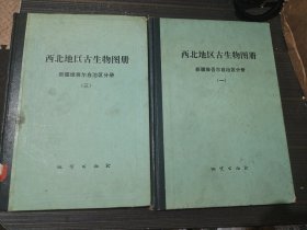 西北地区古生物图册 新疆维吾尔自治区分册 一、三（两本合售 16开精装馆藏 内页干净完整）
