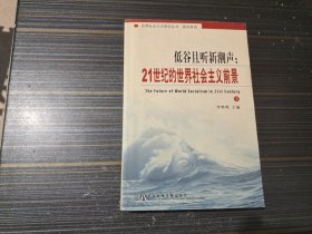 低谷且听新潮声 21世纪的世界社会主义前景 下