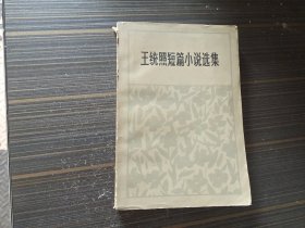 王统照短篇小说选集（内页干净完整）