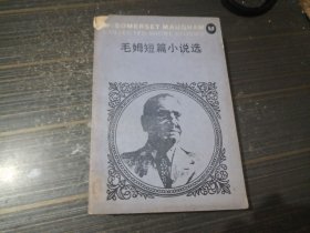 毛姆短篇小说选（后小部分书角沾了小处水渍 内页完整无写画）