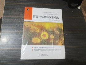 智能计算系统实验教程（全新未开封）