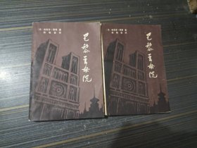 巴黎圣母院 上下（内页干净完整）