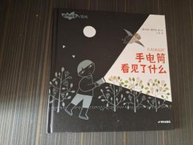 自然观察与实践：手电筒看见了什么（精装绘本）